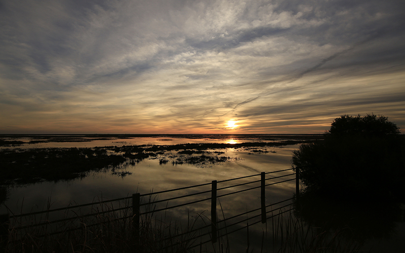 DOÑANA, PARAISO NATURAL