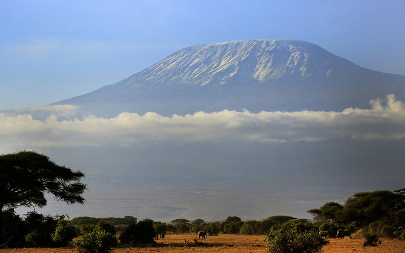 AMBOSELI A LOS PIES DEL KILIMANJARO
