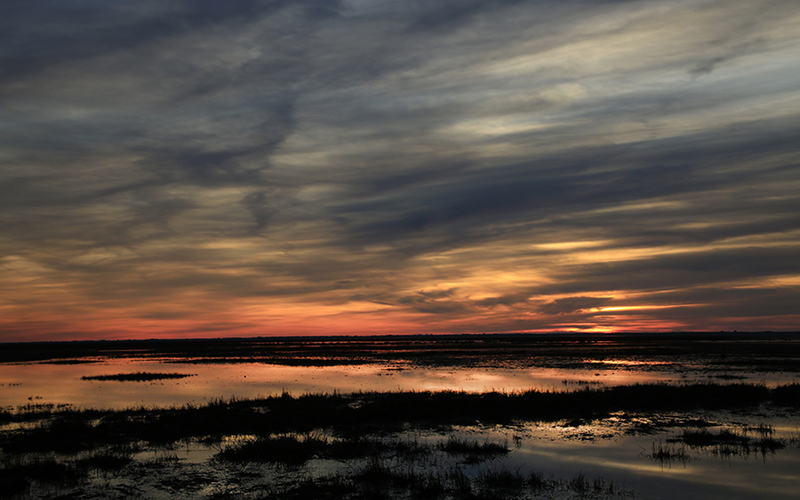 DOÑANA, PARAÍSO NATURAL