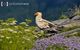 Finalizadas las plazas para el Curso de Fotografía de Naturaleza