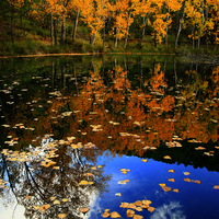 TALLER FOTOGRAFIA DE OTOÑO