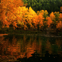 TALLER FOTOGRAFIA DE OTOÑO