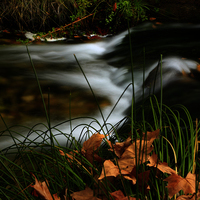 TALLER FOTOGRAFIA DE OTOÑO