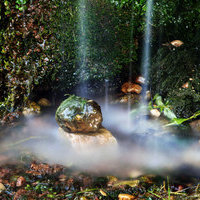 CURSO INICIACION A LA FOTOGRAFIA DE NATURALEZA