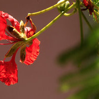 CURSO INICIACION A LA FOTOGRAFIA DE NATURALEZA