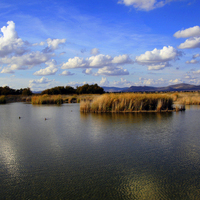 CURSO INICIACION A LA FOTOGRAFIA DE NATURALEZA