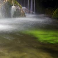 CURSO INICIACION A LA FOTOGRAFIA DE NATURALEZA