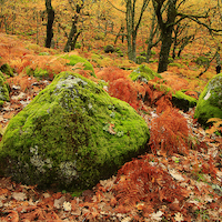 TALLER FOTOGRAFÍA DE OTOÑO EN LA VERA