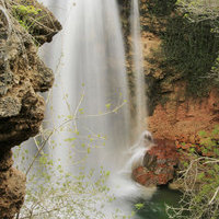 CURSO INICIACION A LA FOTOGRAFIA DE NATURALEZA