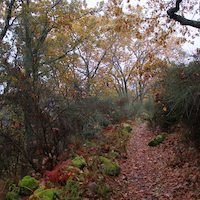 TALLER FOTOGRAFÍA DE OTOÑO EN LA VERA