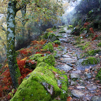 TALLER FOTOGRAFÍA DE OTOÑO EN LA VERA