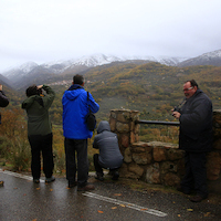 TALLER FOTOGRAFÍA DE OTOÑO EN LA VERA