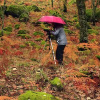 TALLER FOTOGRAFÍA DE OTOÑO EN LA VERA