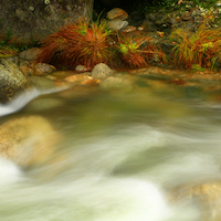 TALLER FOTOGRAFÍA DE OTOÑO EN LA VERA