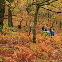 TALLER FOTOGRAFÍA DE OTOÑO EN LA VERA