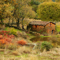 TALLER FOTOGRAFÍA DE OTOÑO EN LA VERA