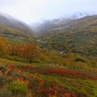 TALLER FOTOGRAFÍA DE OTOÑO EN LA VERA