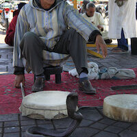 MARRUECOS: CIUDADES IMPERIALES Y DESIERTO