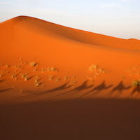 MARRUECOS: CIUDADES IMPERIALES Y DESIERTO