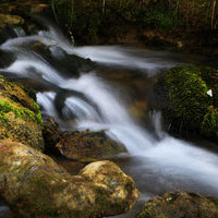 CURSO INICIACION A LA FOTOGRAFIA DE NATURALEZA