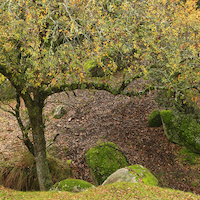 TALLER FOTOGRAFIA DE OTOÑO 2021