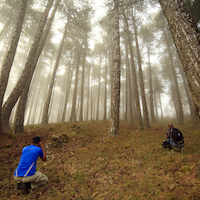 TALLER FOTOGRAFIA DE OTOÑO 2021