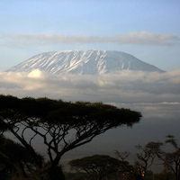 AMBOSELI A LOS PIES DEL KILIMANJARO