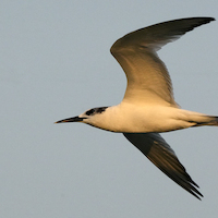 GUINEA BISSAU PARAISO CERCANO