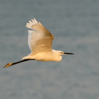 GUINEA BISSAU PARAISO CERCANO