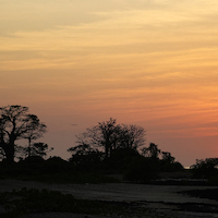 GUINEA BISSAU PARAISO CERCANO