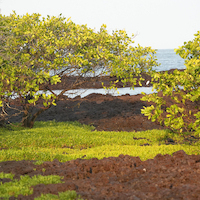 GUINEA BISSAU PARAISO CERCANO