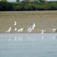 GUINEA BISSAU PARAISO CERCANO