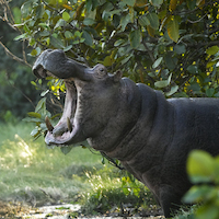 GUINEA BISSAU PARAISO CERCANO