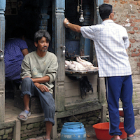 NEPAL NATURALEZA EN ESTADO PURO