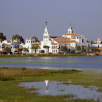 TALLER EN DOÑANA Y RIO TINTO