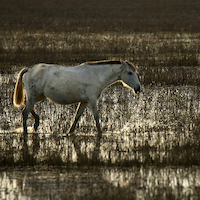 TALLER EN DOÑANA Y RIO TINTO