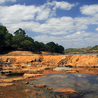 TALLER EN DOÑANA Y RIO TINTO