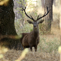 TALLER EN DOÑANA Y RIO TINTO