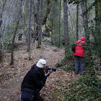 TALLER  FOTOGRÁFICO MIMBRES Y MAS