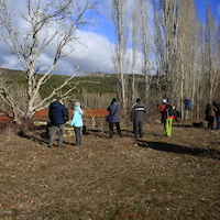 TALLER  FOTOGRÁFICO MIMBRES Y MAS