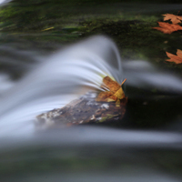 FOTOGRAFIA DE OTOÑO