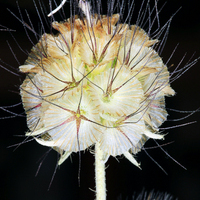 FOTOGRAFIA DE OTOÑO