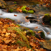 FOTOGRAFIA DE OTOÑO