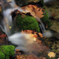 FOTOGRAFIA DE OTOÑO