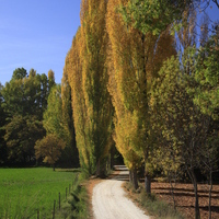 FOTOGRAFIA DE OTOÑO