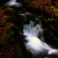 TALLER FOTOGRAFIA DE VIAJES EN COSTA RICA. CIUDAD Y NATURALEZA