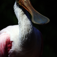 TALLER FOTOGRAFIA DE VIAJES EN COSTA RICA. CIUDAD Y NATURALEZA