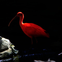 TALLER FOTOGRAFIA DE VIAJES EN COSTA RICA. CIUDAD Y NATURALEZA