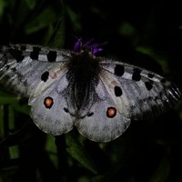 TALLER FOTOGRAFIA DE VIAJES EN COSTA RICA. CIUDAD Y NATURALEZA