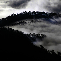 TALLER FOTOGRAFIA DE VIAJES EN COSTA RICA. CIUDAD Y NATURALEZA